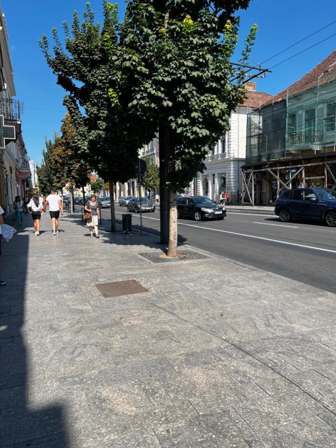 The N Apartment Cluj-Napoca Exterior photo